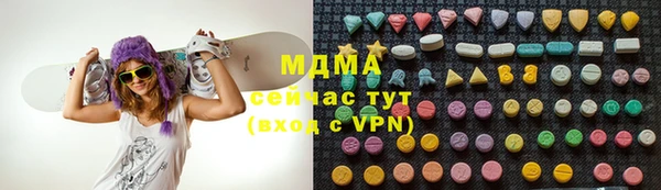 соль ск Дмитриев