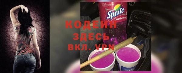 соль ск Дмитриев
