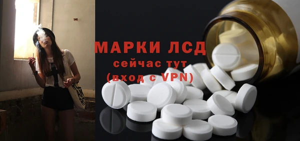 соль ск Дмитриев