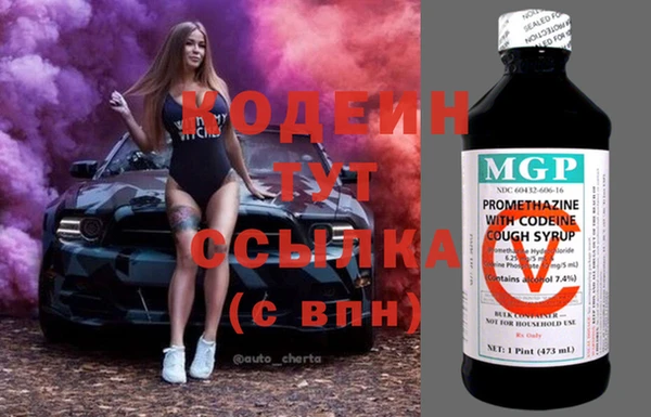 соль ск Дмитриев
