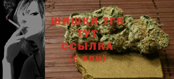 соль ск Дмитриев