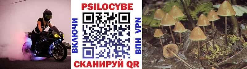 Галлюциногенные грибы прущие грибы  Назрань 