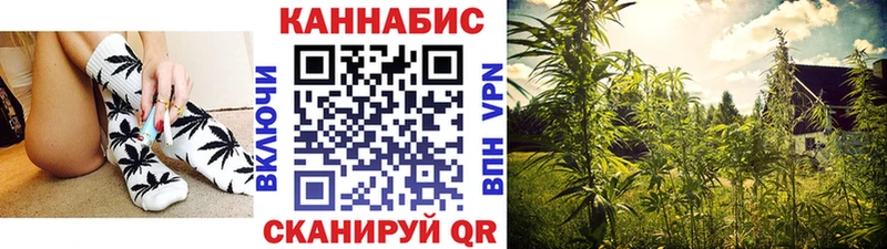 Конопля гибрид  дарнет шоп  MEGA как войти  Назрань 